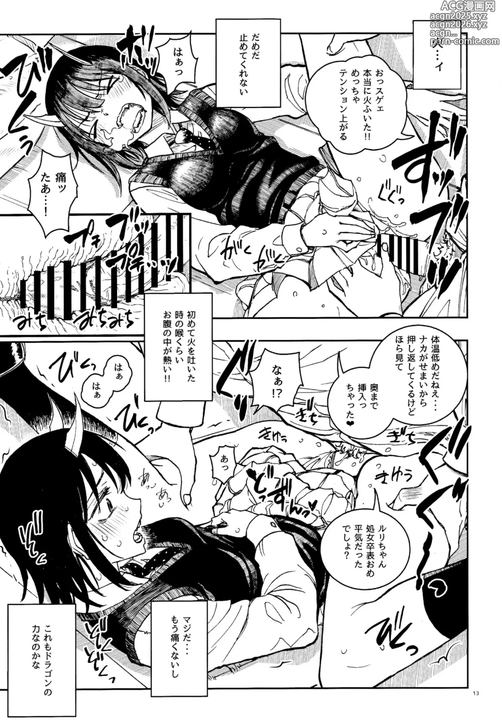 Page 12 of doujinshi Dragon Shoujo wa Dragon Slayer ni Nante Makenai!