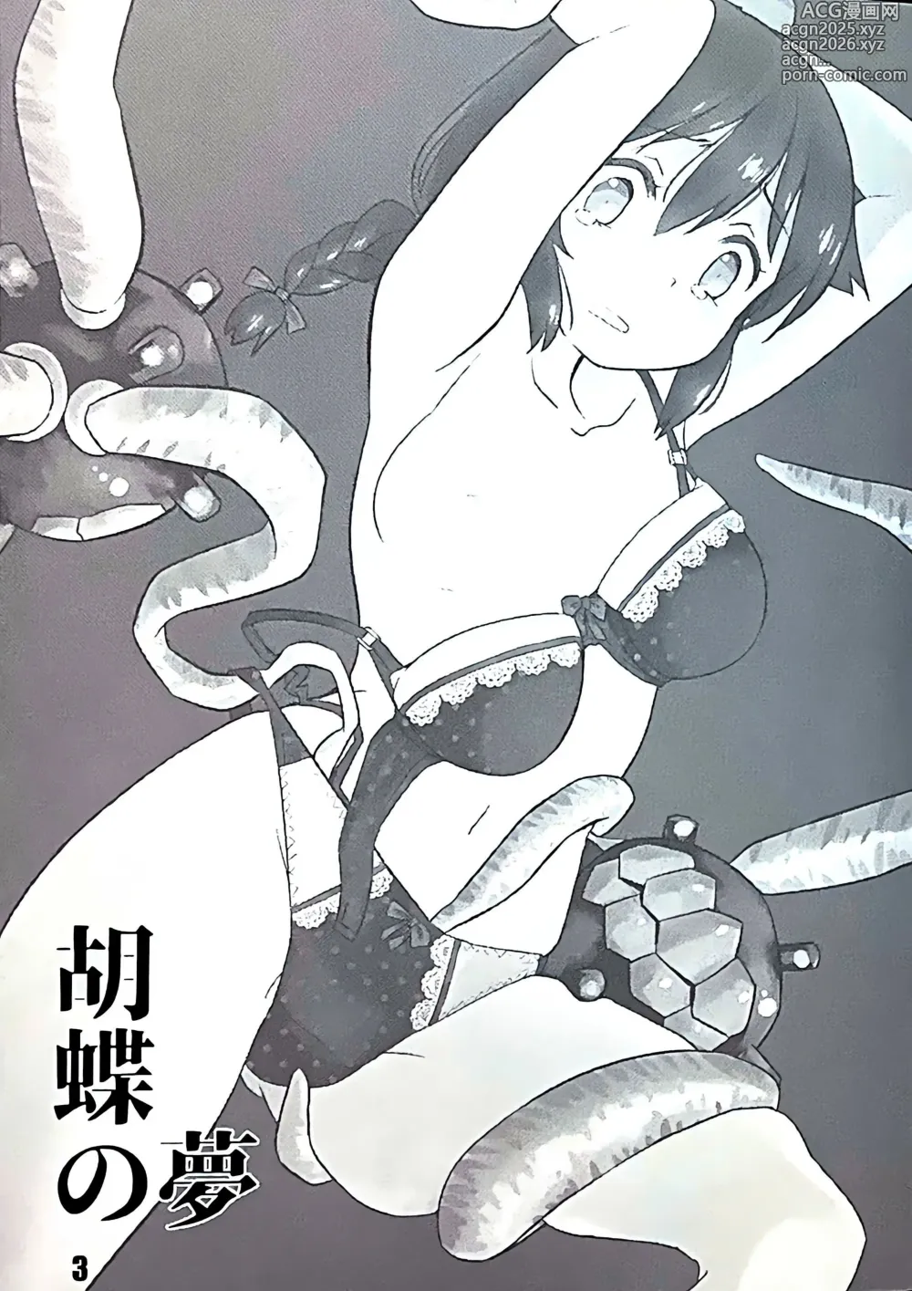 Page 3 of doujinshi kocho no yume
