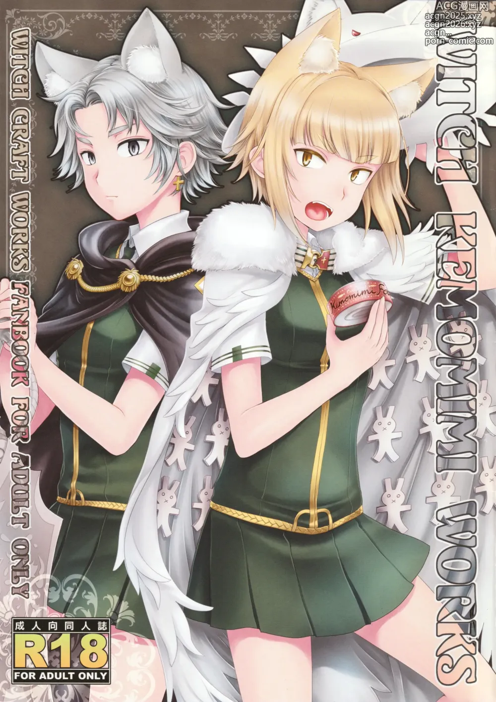 Page 1 of doujinshi WITCH KEMOMIMI WORKS