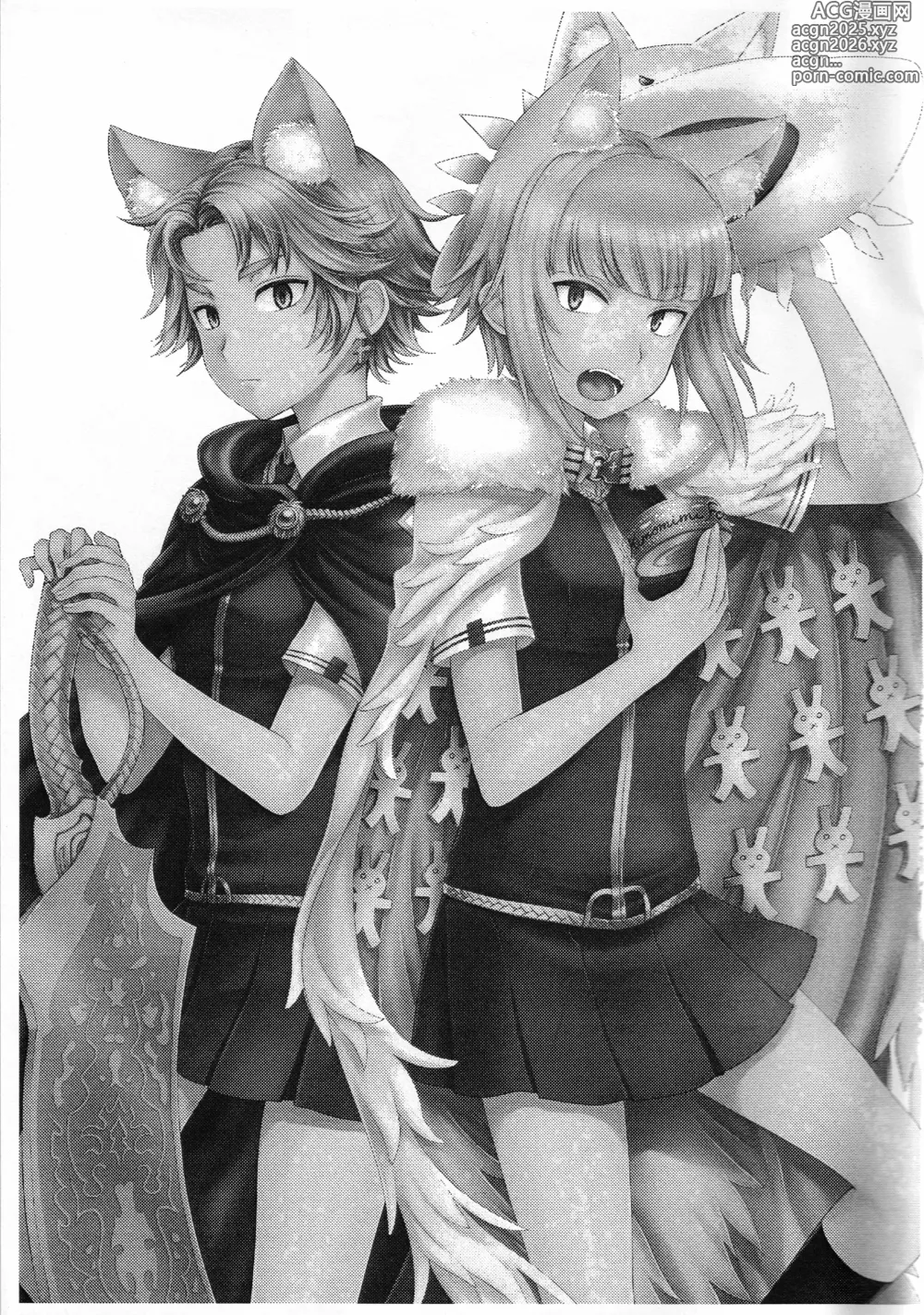 Page 2 of doujinshi WITCH KEMOMIMI WORKS