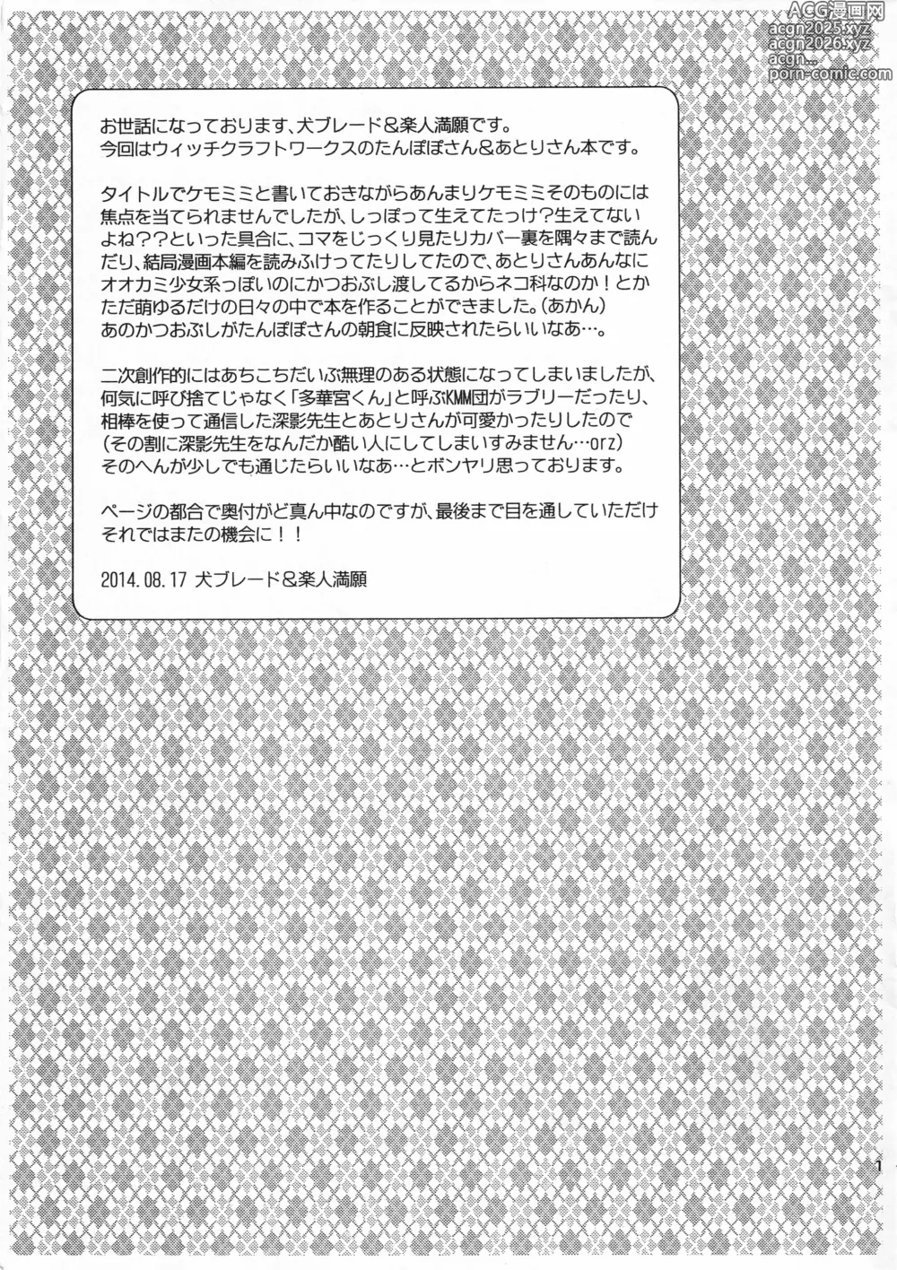 Page 14 of doujinshi WITCH KEMOMIMI WORKS