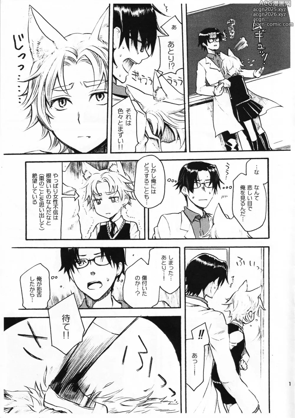 Page 18 of doujinshi WITCH KEMOMIMI WORKS