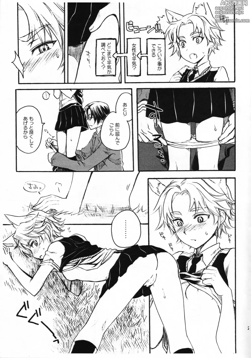 Page 20 of doujinshi WITCH KEMOMIMI WORKS