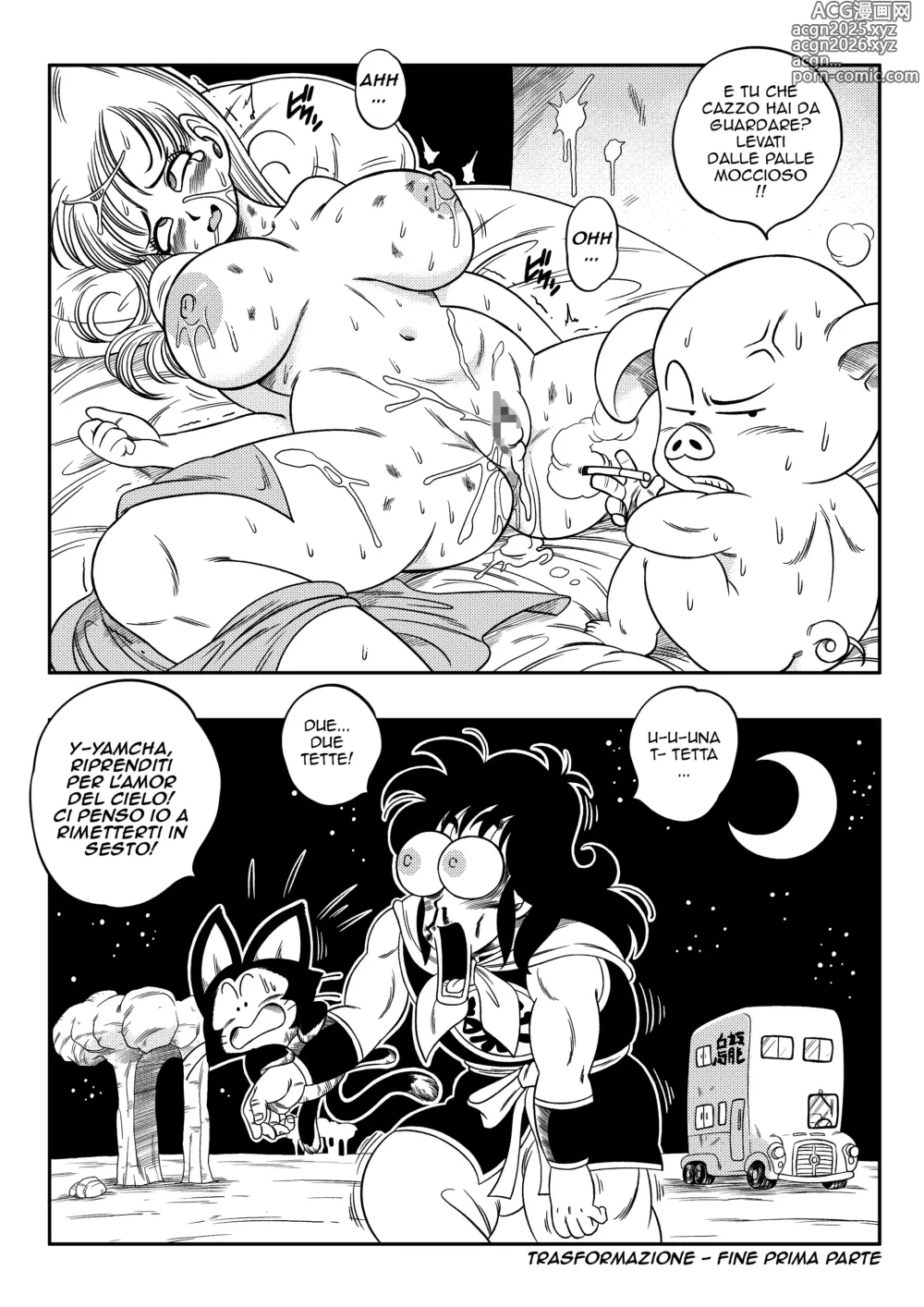 Page 29 of doujinshi Trasformazione