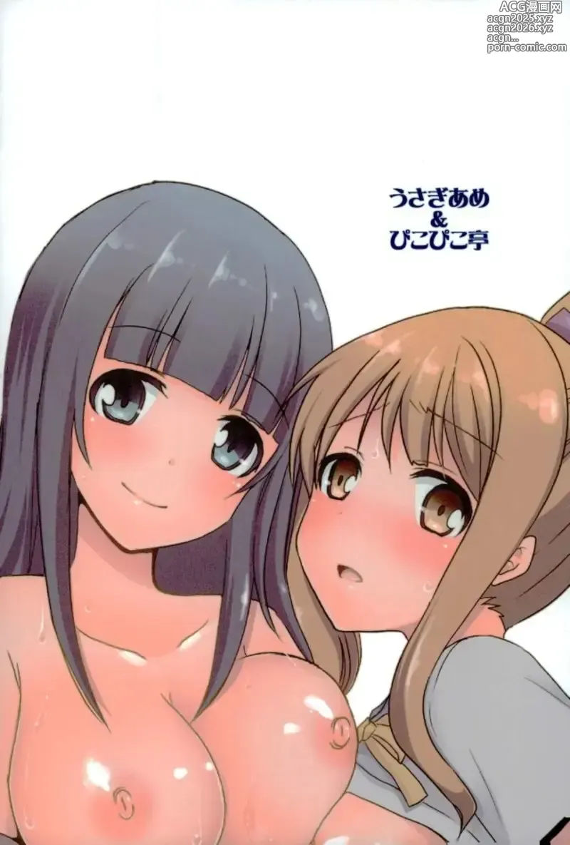Page 27 of doujinshi Ranobe Tenkai no Eromanga wa Osuki desu ka?