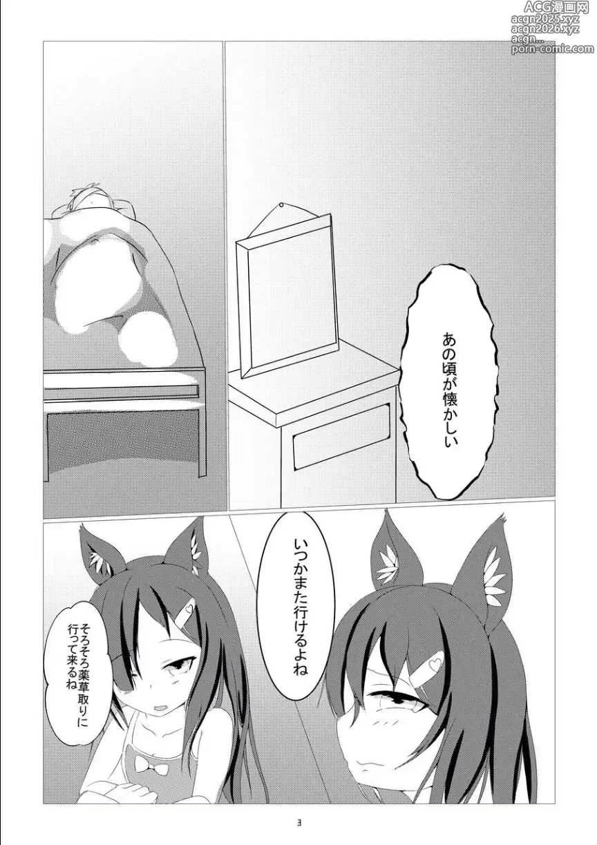 Page 3 of doujinshi Kusuri sagashi okamiha naetonaru