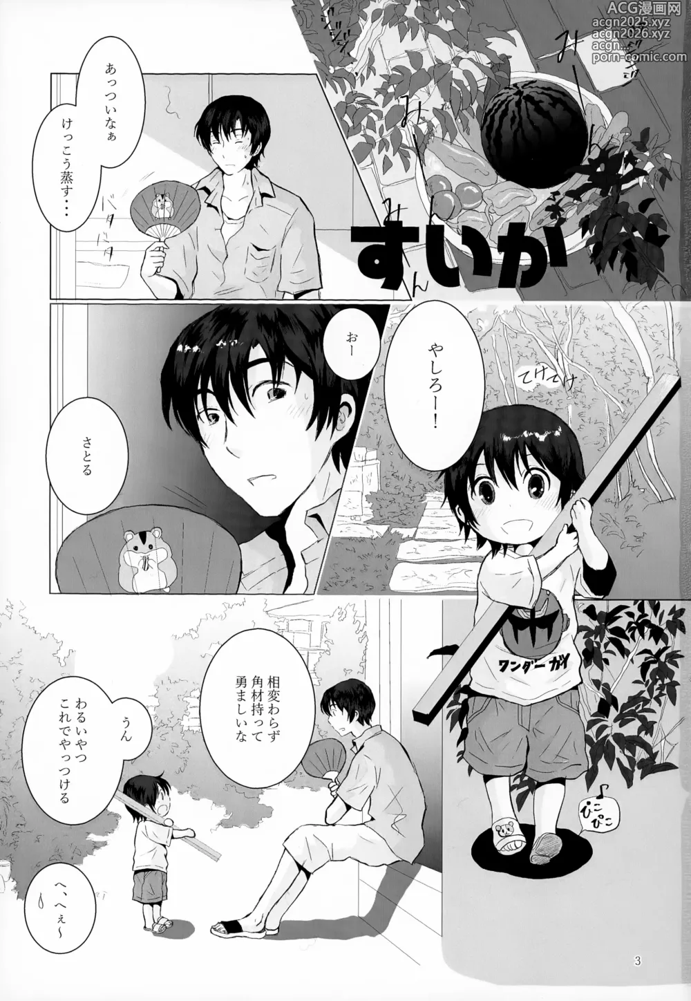 Page 3 of doujinshi Sairoku-shuu 2