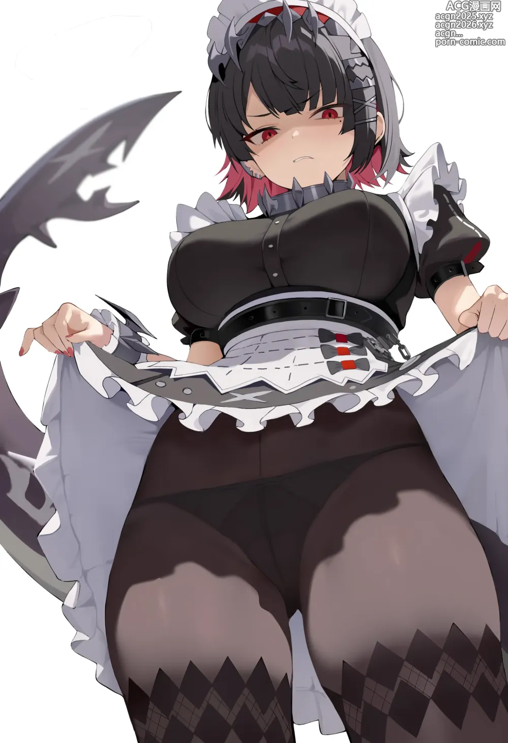 Page 8 of imageset redshark