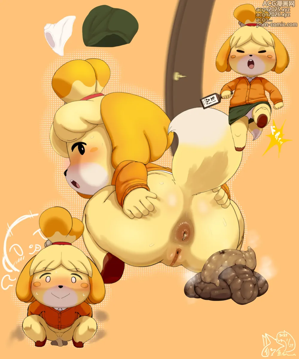 Page 279 of imageset Ayusake