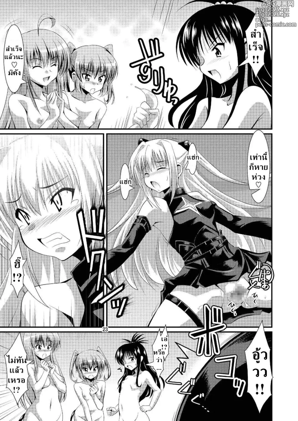 Page 22 of doujinshi DARKNESS MEMORIES