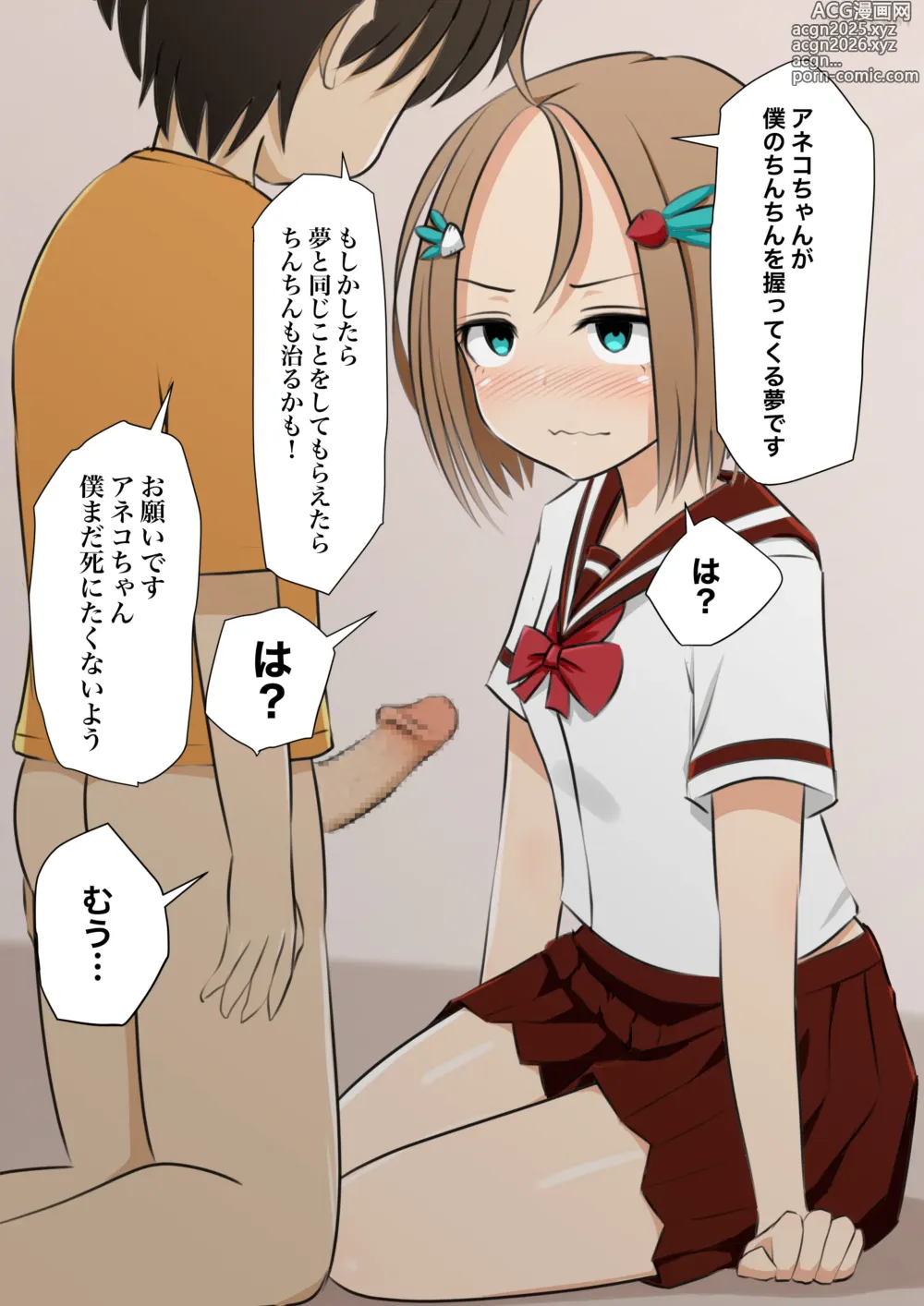 Page 4 of doujinshi Aneko to Otouta Ch. 1-8