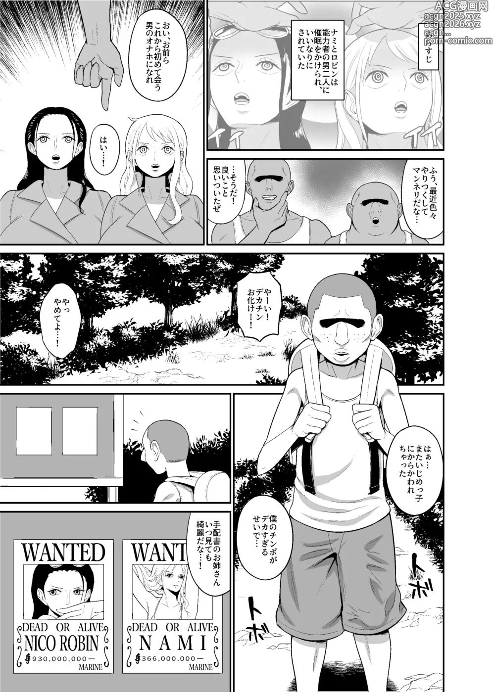Page 3 of doujinshi Saimin Onaho Pairetsu ~ Saimin o Kake Rareta Onna Kaizoku Futari o Hirottanode Onaho ni Shite mita