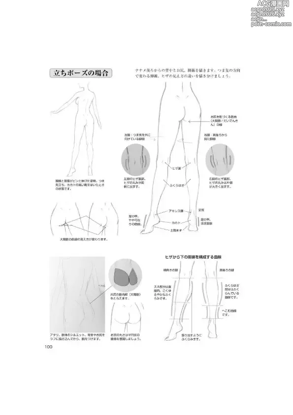Page 6 of imageset An anime animation directors tips for drawing female characters