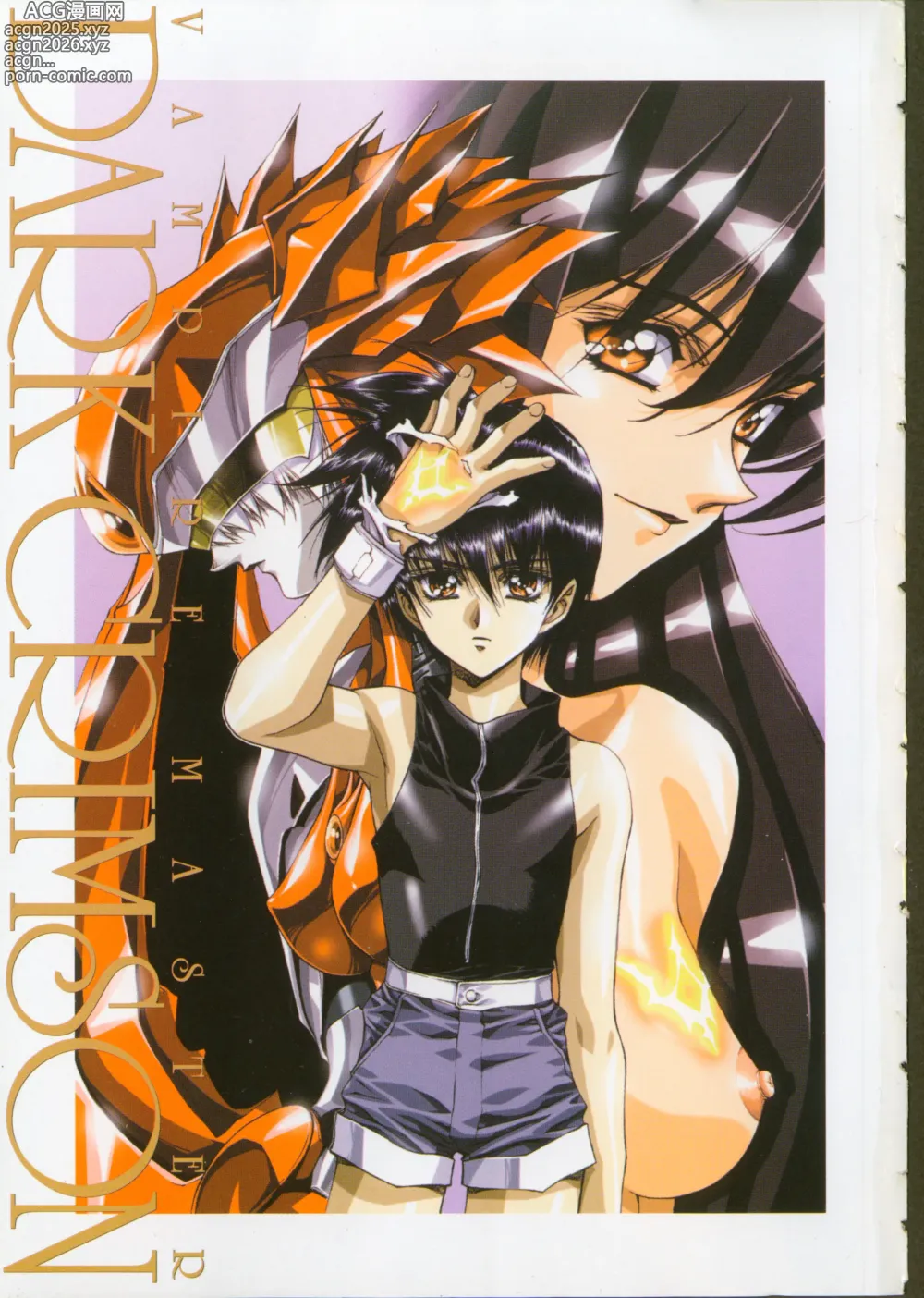 Page 3 of manga VAMPIRE MASTER Dark Crimson 1