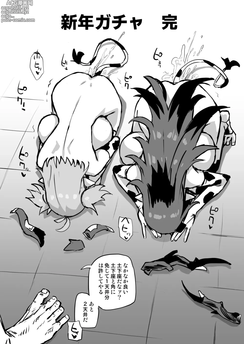 Page 1107 of imageset Asanagi