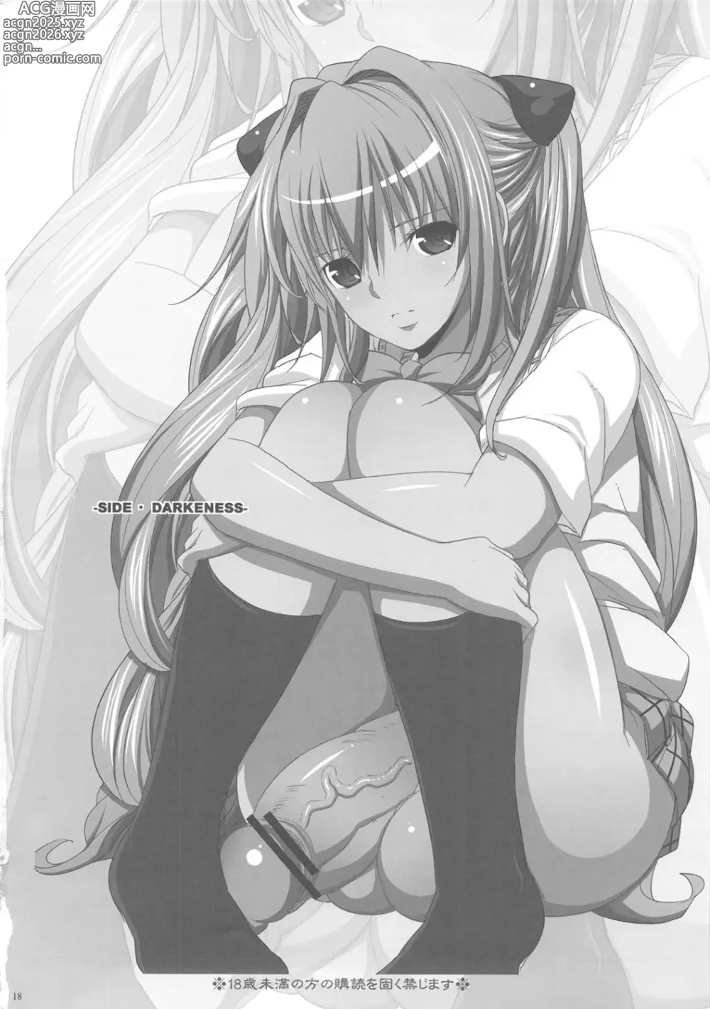 Page 17 of doujinshi SIDE DARKNESS