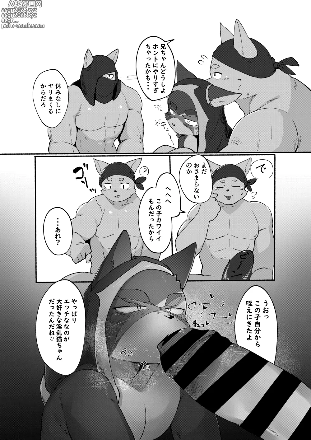 Page 20 of doujinshi RAGE Cat