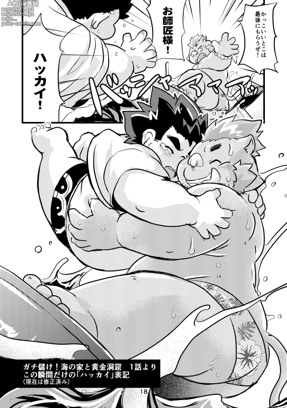 Page 18 of doujinshi Hibikore same buta