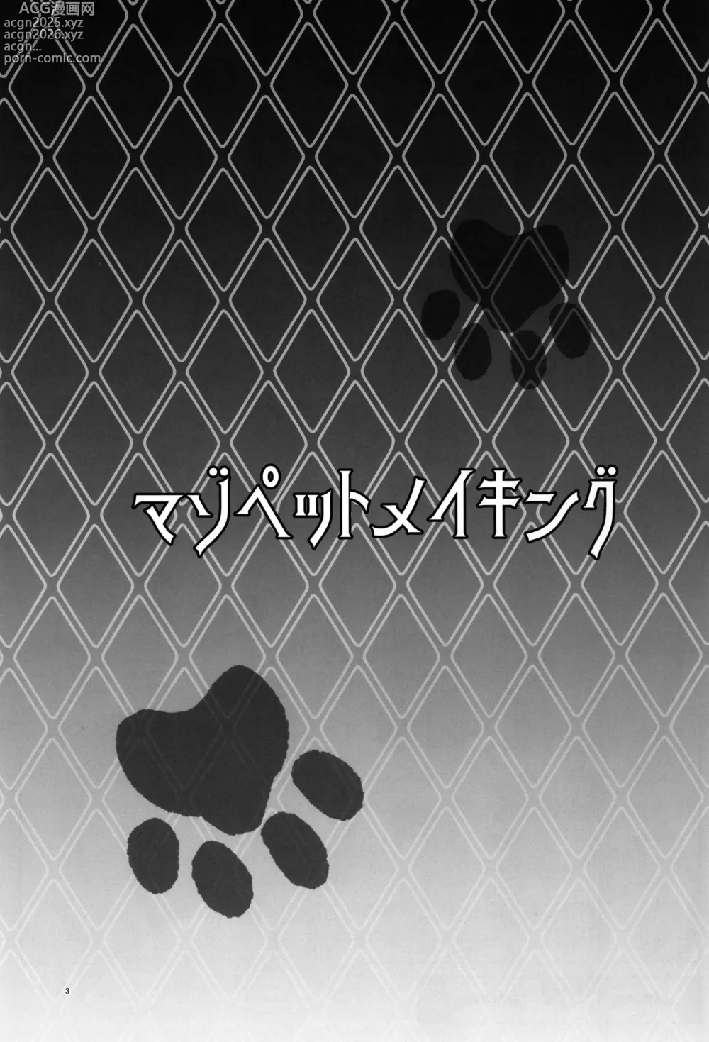 Page 3 of doujinshi Maso Pet Making + Paper