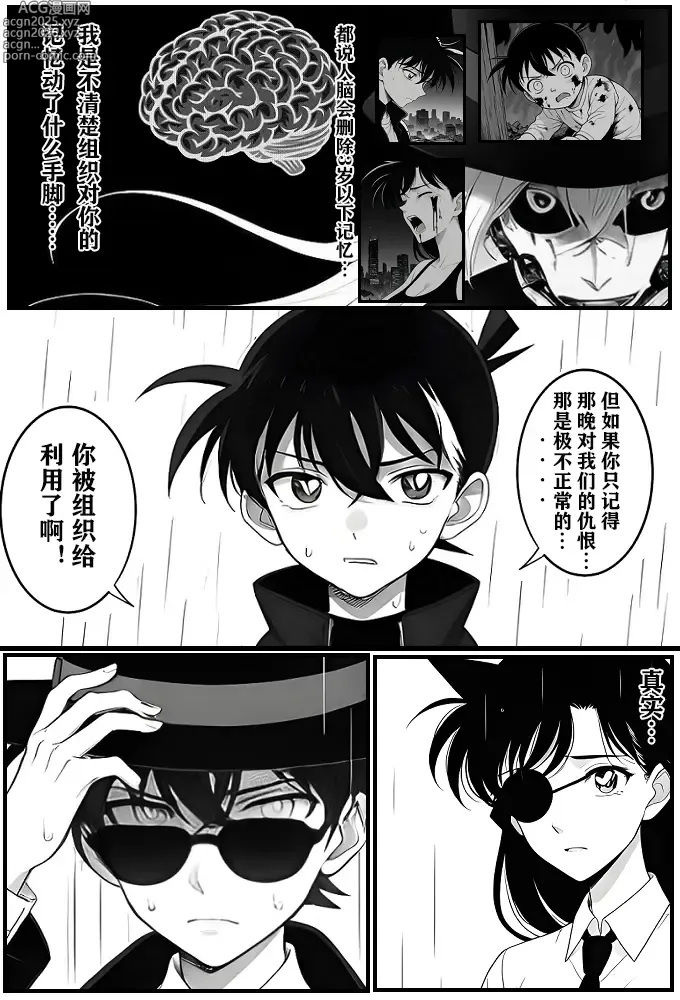 Page 4 of doujinshi 给福尔摩斯的安魂曲:终曲篇（detective conan）