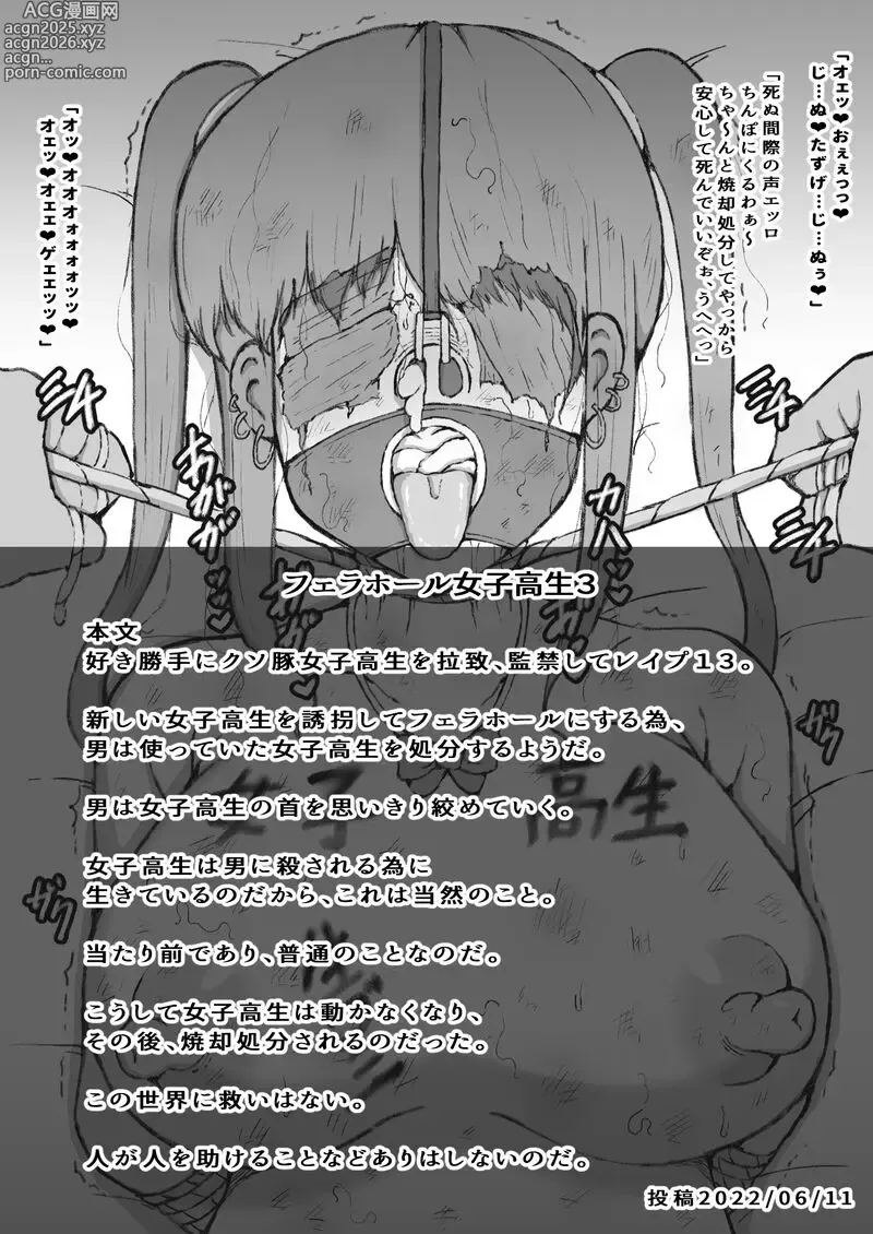 Page 26 of doujinshi Suki Katte ni Kuso Buta 〇 〇 〇 〇 o Rachi 、 〇 〇 Shite 〇 〇 〇