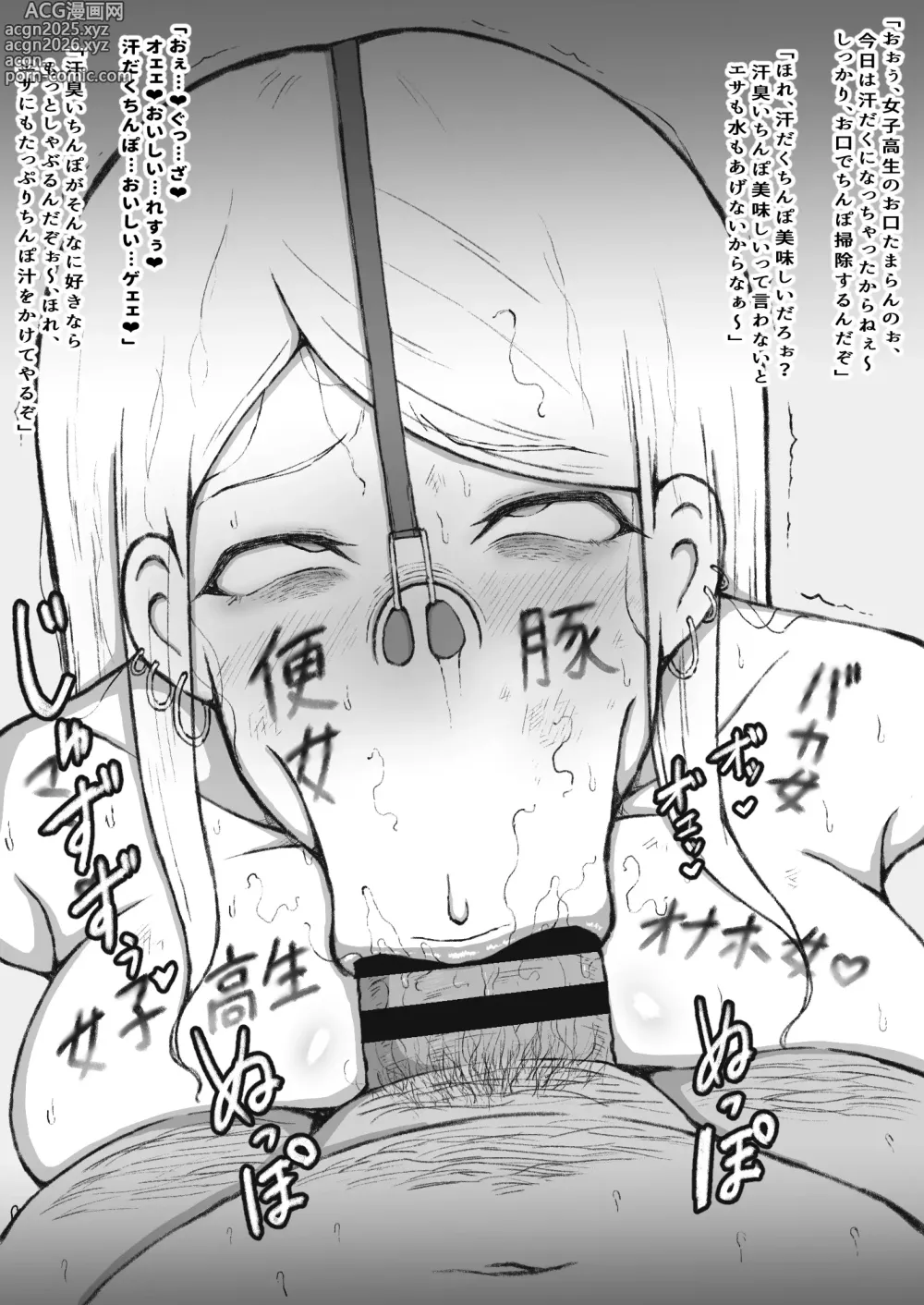 Page 23 of doujinshi Suki Katte ni Kuso Buta 〇〇〇〇 o Rachi , 〇〇 Shite 〇〇〇 Matome Nidesu.