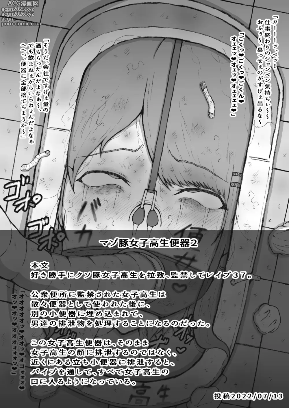 Page 34 of doujinshi Suki Katte ni Kuso Buta 〇〇〇〇 o Rachi , 〇〇 Shite 〇〇〇 Matome Nidesu.