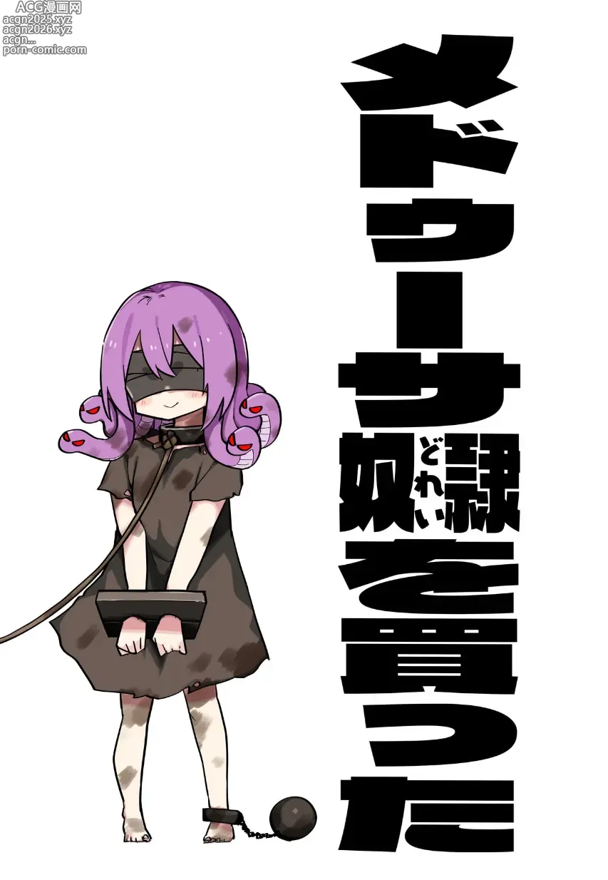 Page 10 of doujinshi Medusa Dorei o Katta