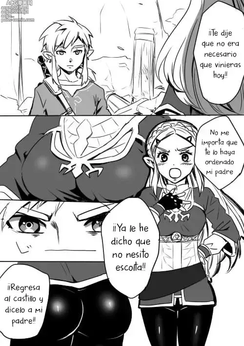 Page 2 of doujinshi Aquí una Pequeña Lección sobre la Relación de Link y Zelda