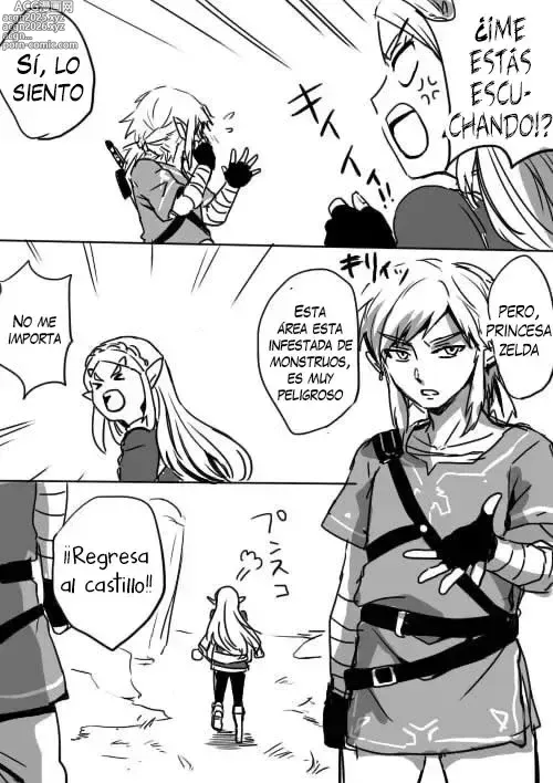 Page 3 of doujinshi Aquí una Pequeña Lección sobre la Relación de Link y Zelda