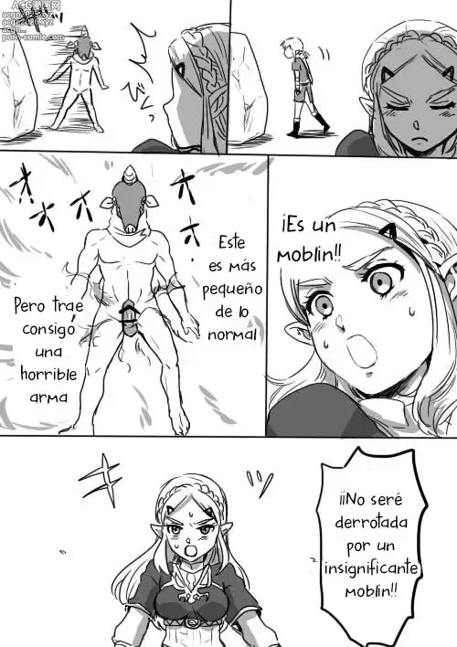 Page 4 of doujinshi Aquí una Pequeña Lección sobre la Relación de Link y Zelda