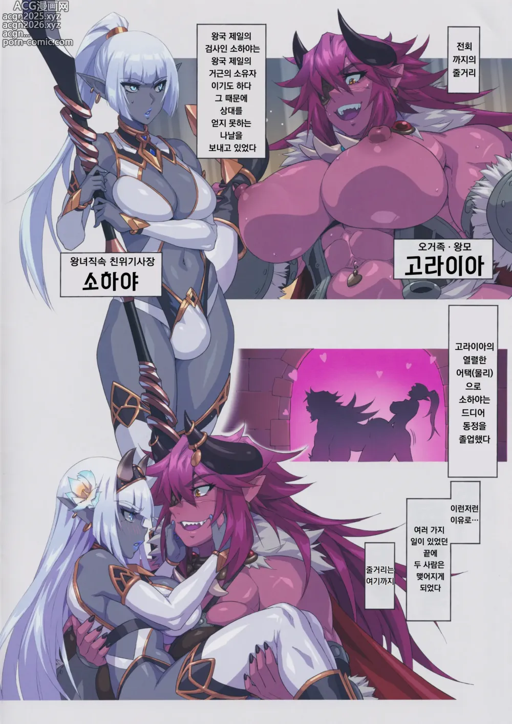 Page 2 of doujinshi 오거 대 다크엘프 2 러브러브! 신혼 대작전