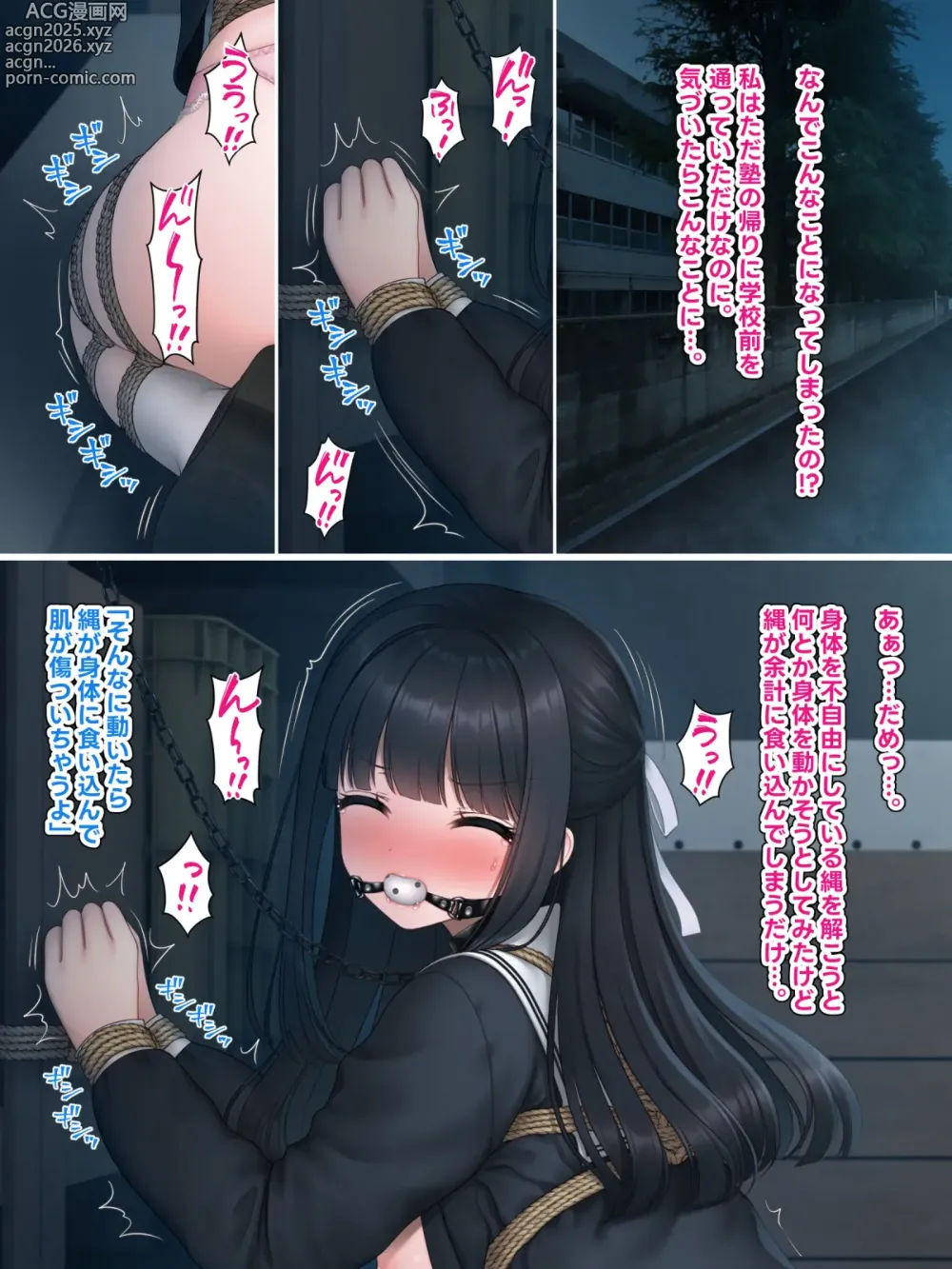 Page 2 of imageset Sakurayashiki Tonkotsu