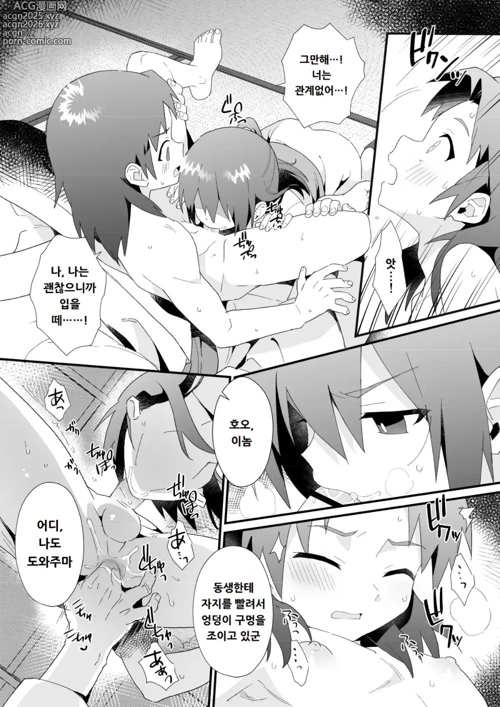 Page 12 of doujinshi 히이라기 가의 형제