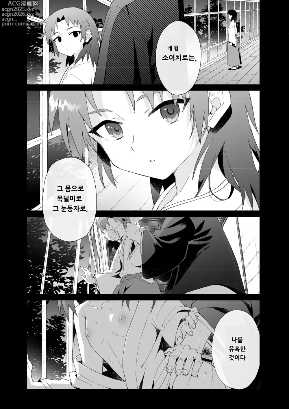 Page 9 of doujinshi 히이라기 가의 형제
