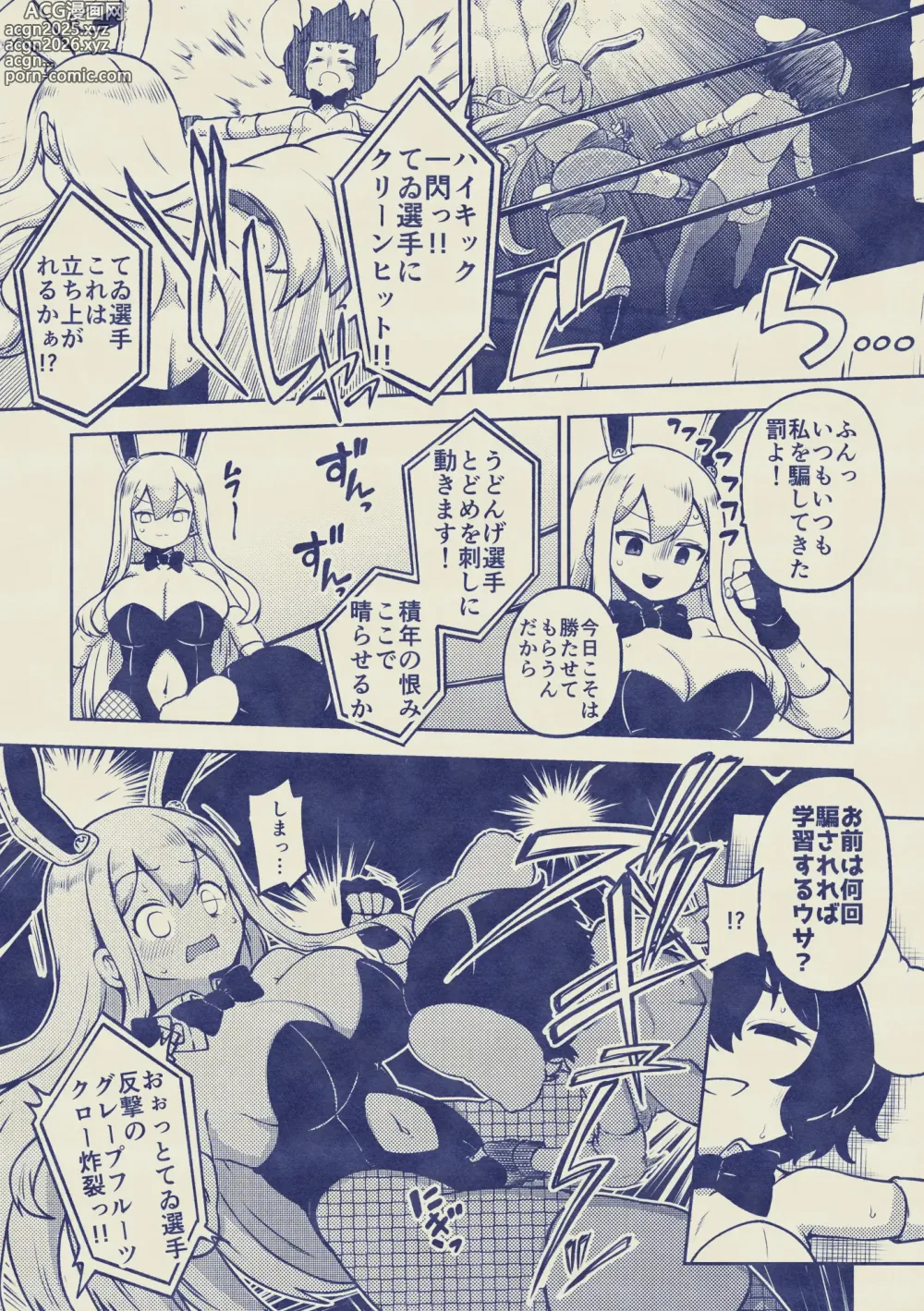 Page 9 of doujinshi 兎プロレス メイキング