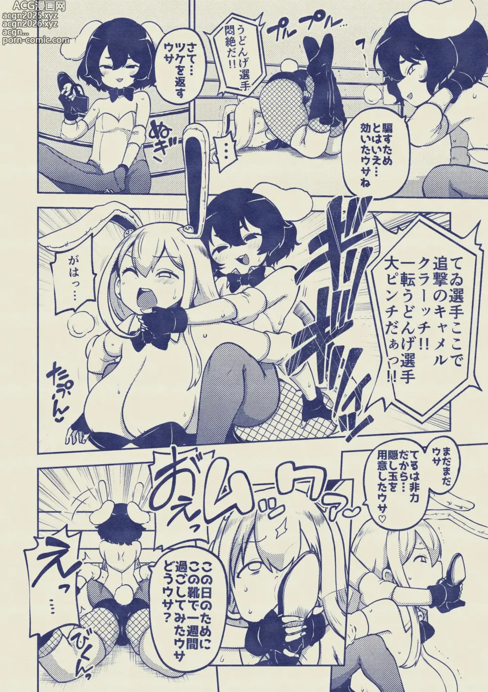 Page 10 of doujinshi 兎プロレス メイキング