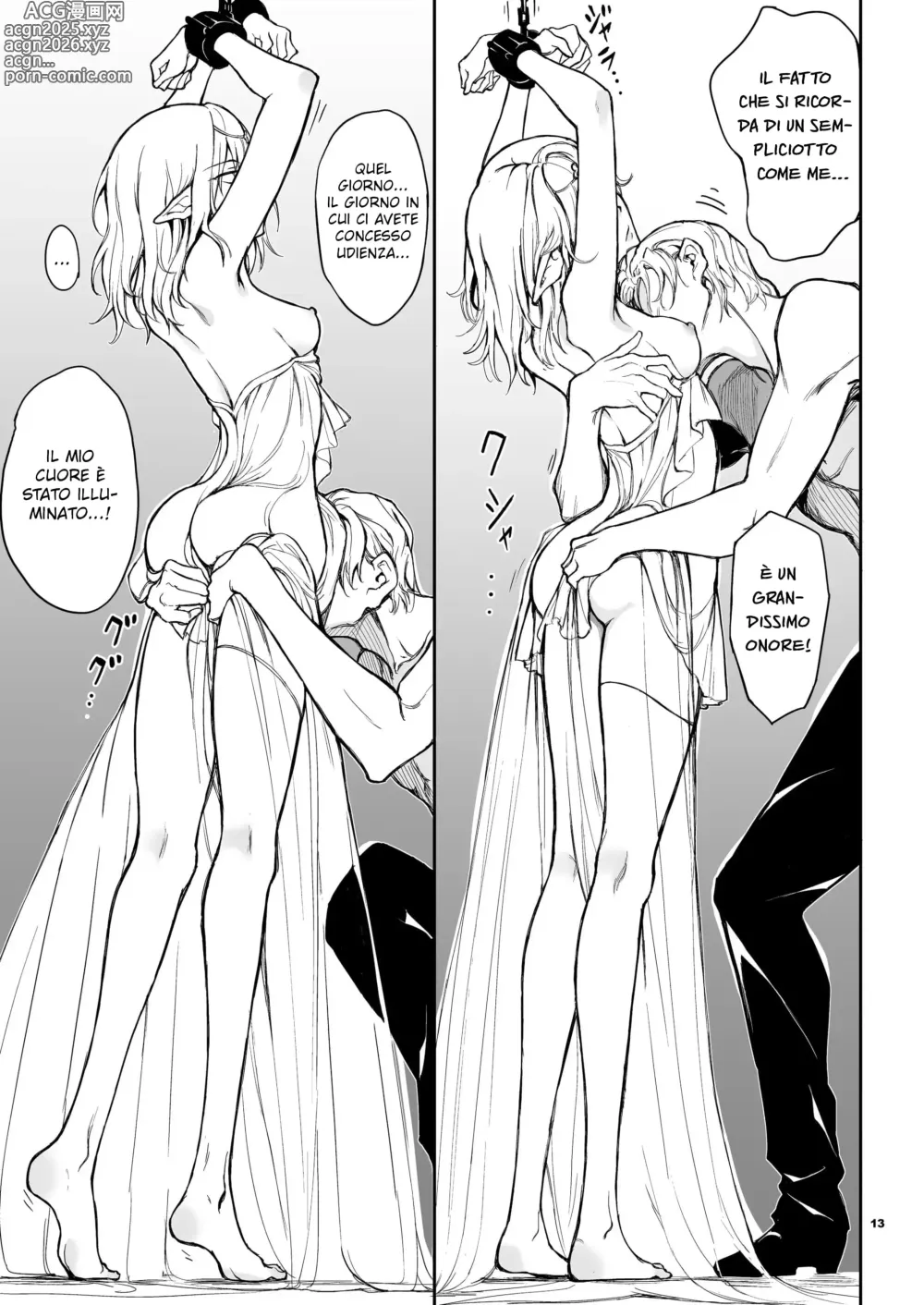 Page 12 of doujinshi Elf Education. -La deportata regina Mist- (decensored)