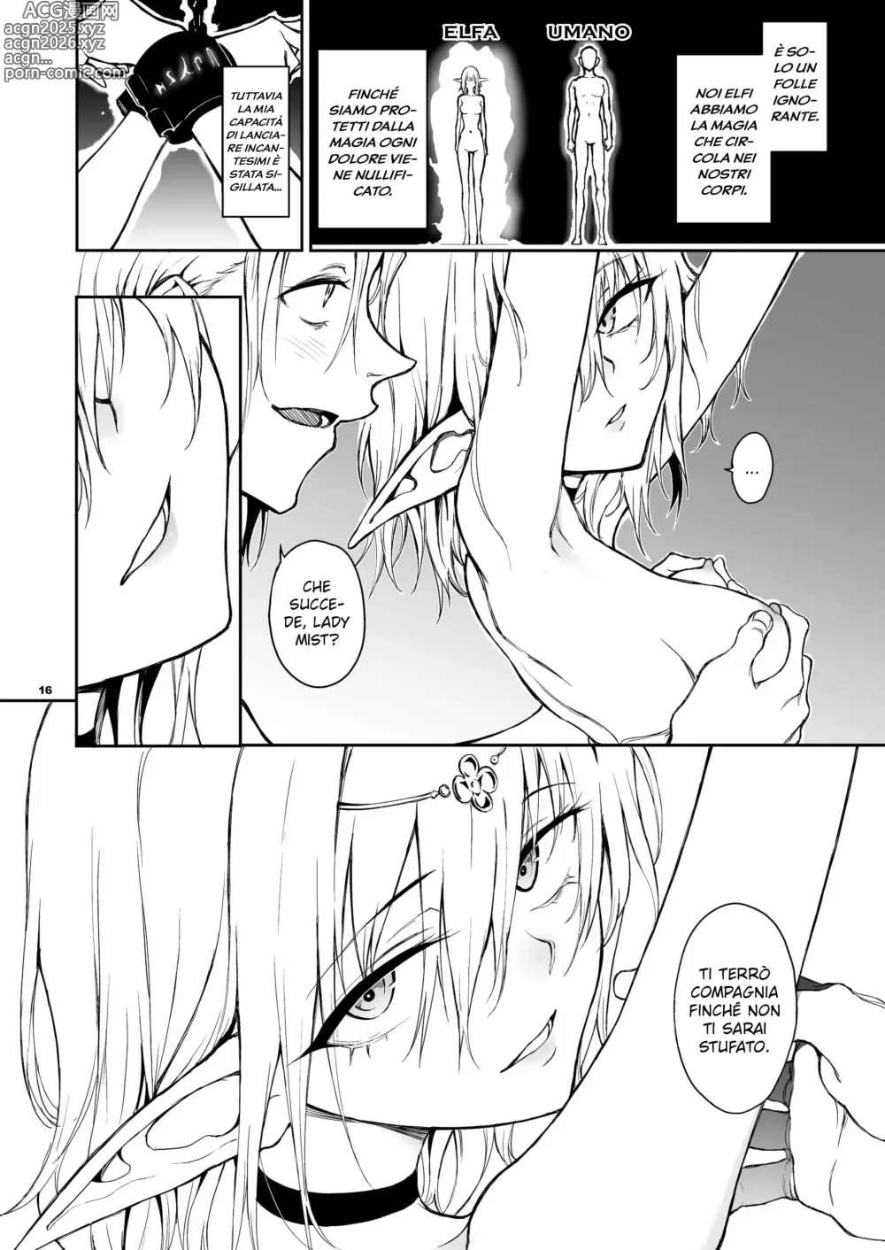 Page 15 of doujinshi Elf Education. -La deportata regina Mist- (decensored)