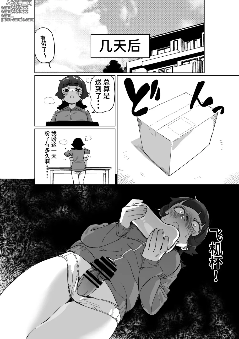 Page 11 of doujinshi Hikikomori no Ane ni Chinchin ga Haetara