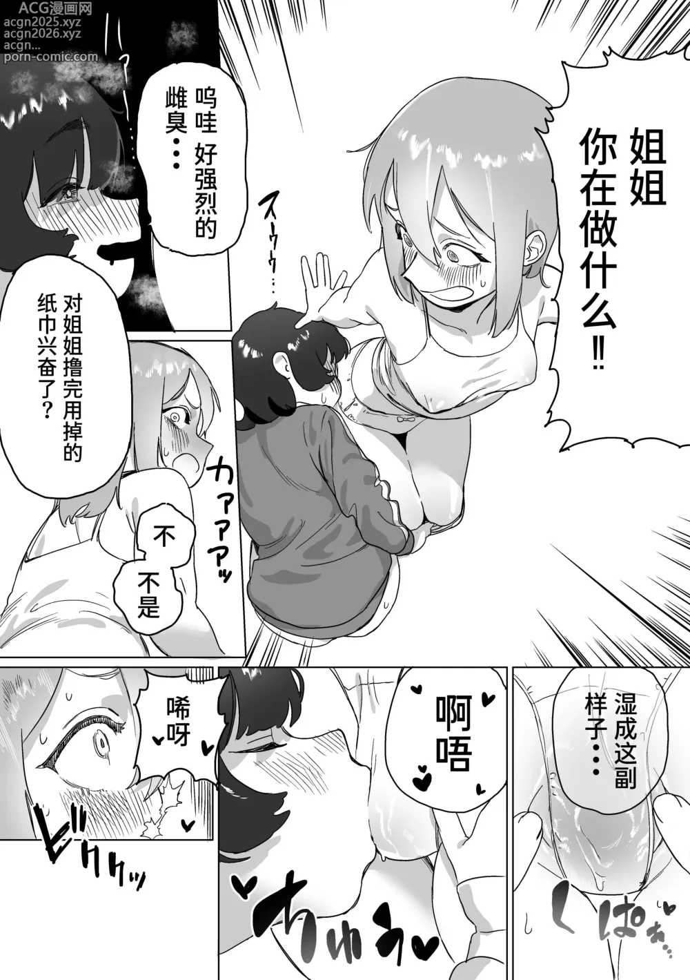 Page 26 of doujinshi Hikikomori no Ane ni Chinchin ga Haetara