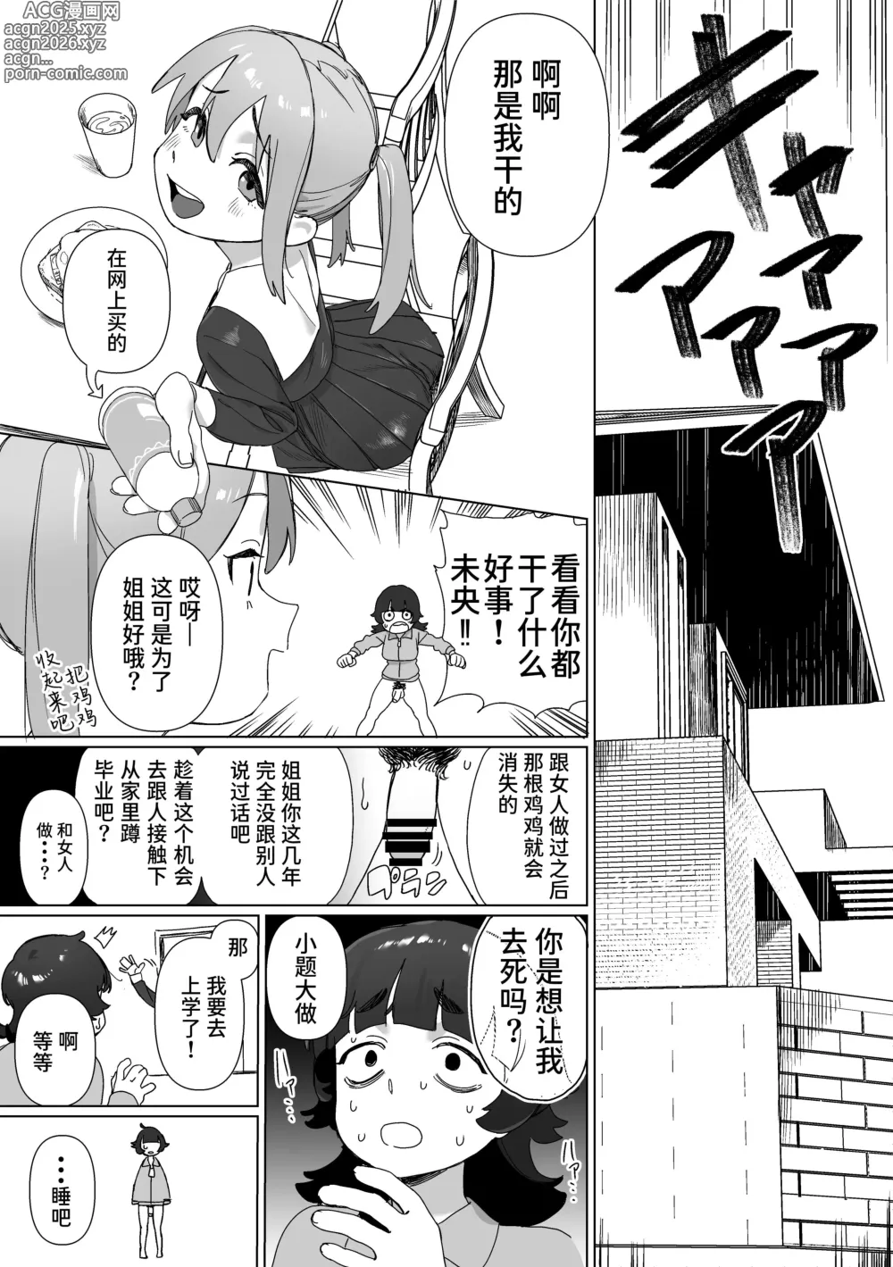 Page 4 of doujinshi Hikikomori no Ane ni Chinchin ga Haetara