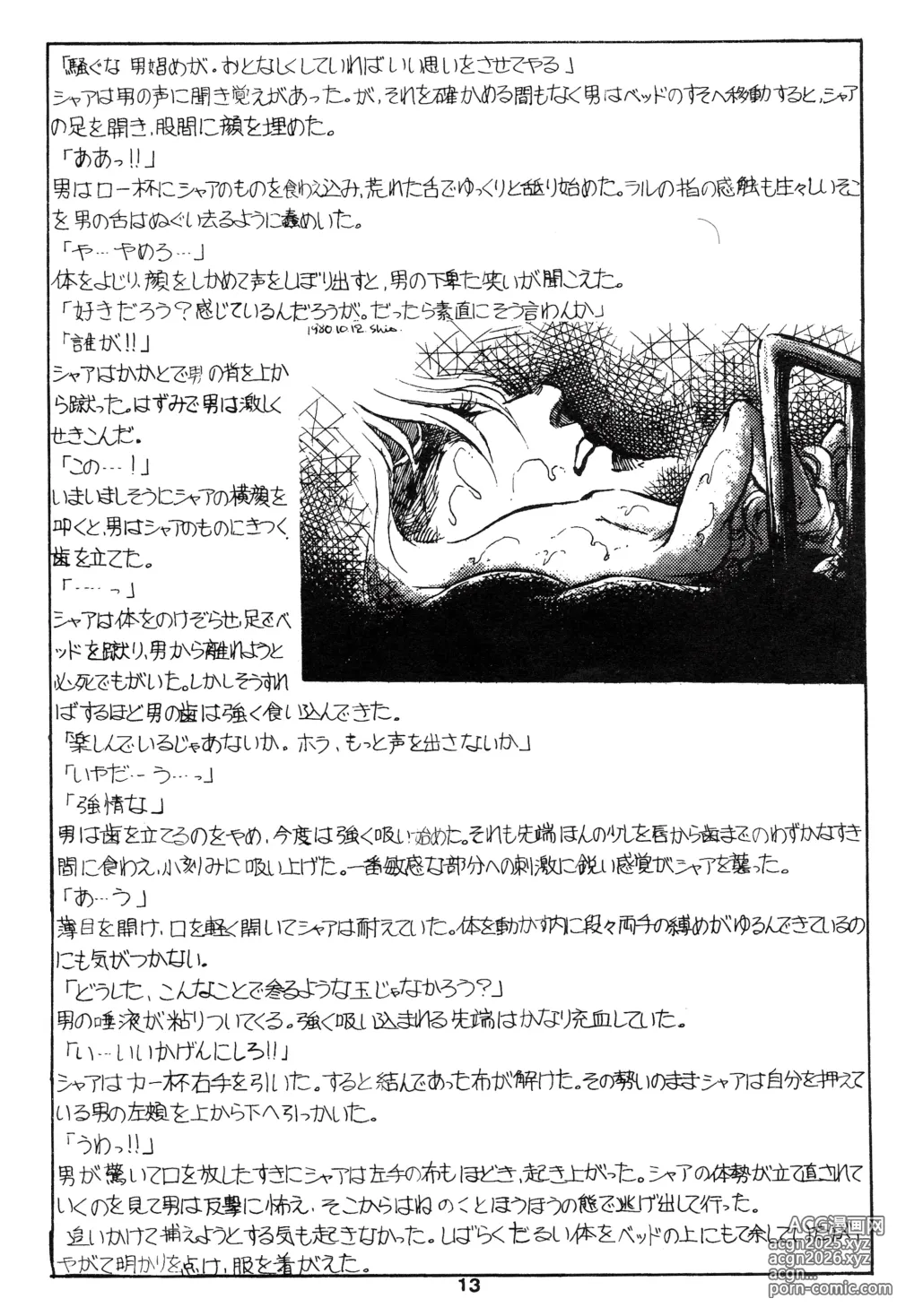 Page 13 of doujinshi Thats It! Char's Success Story