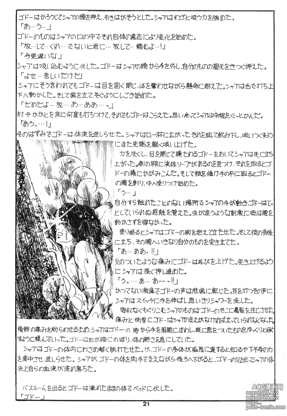 Page 21 of doujinshi Thats It! Char's Success Story