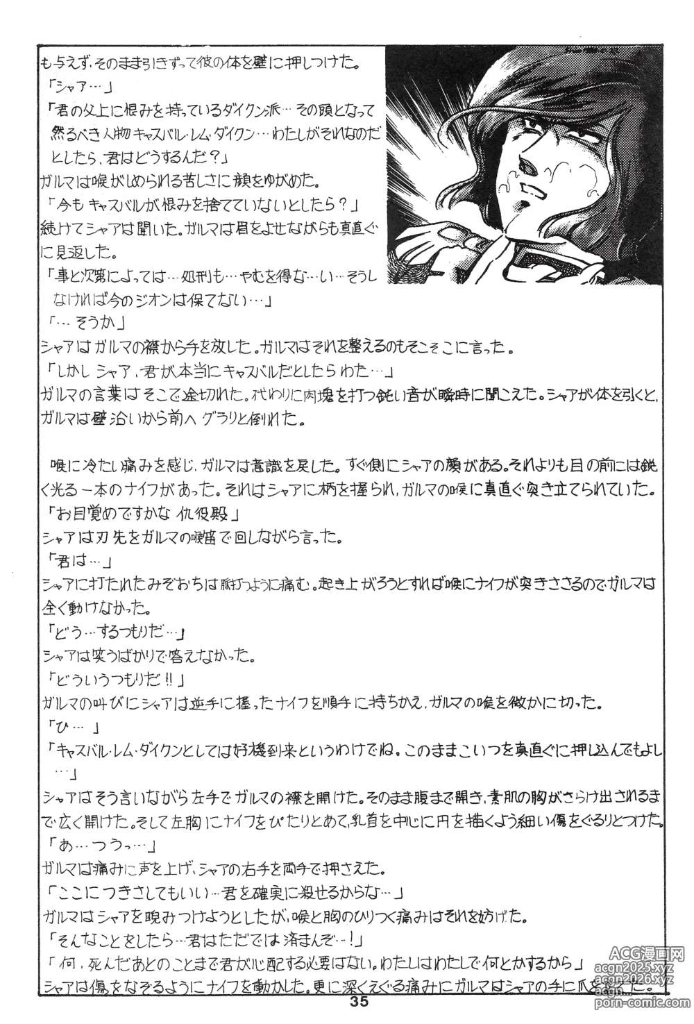 Page 35 of doujinshi Thats It! Char's Success Story