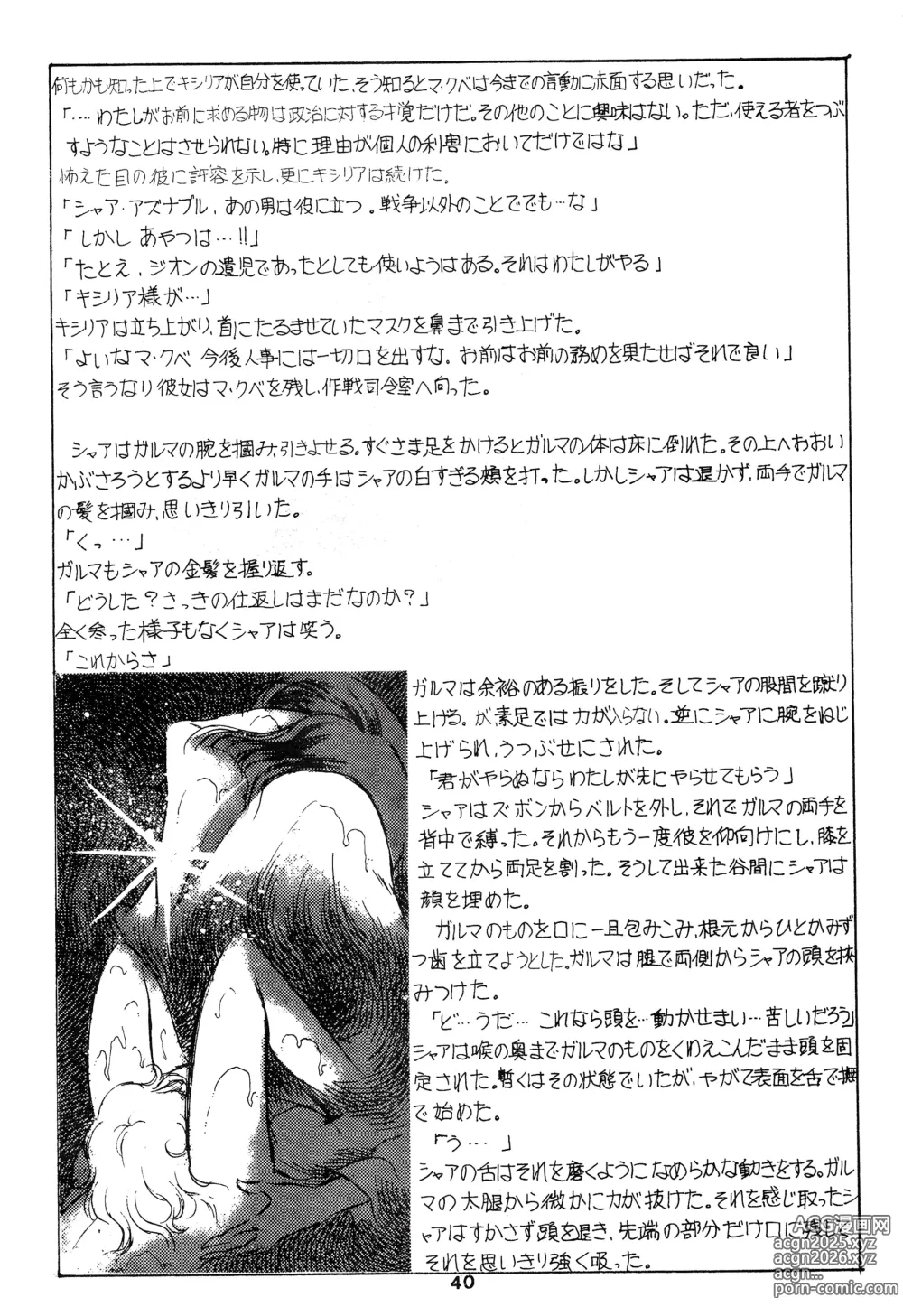 Page 40 of doujinshi Thats It! Char's Success Story