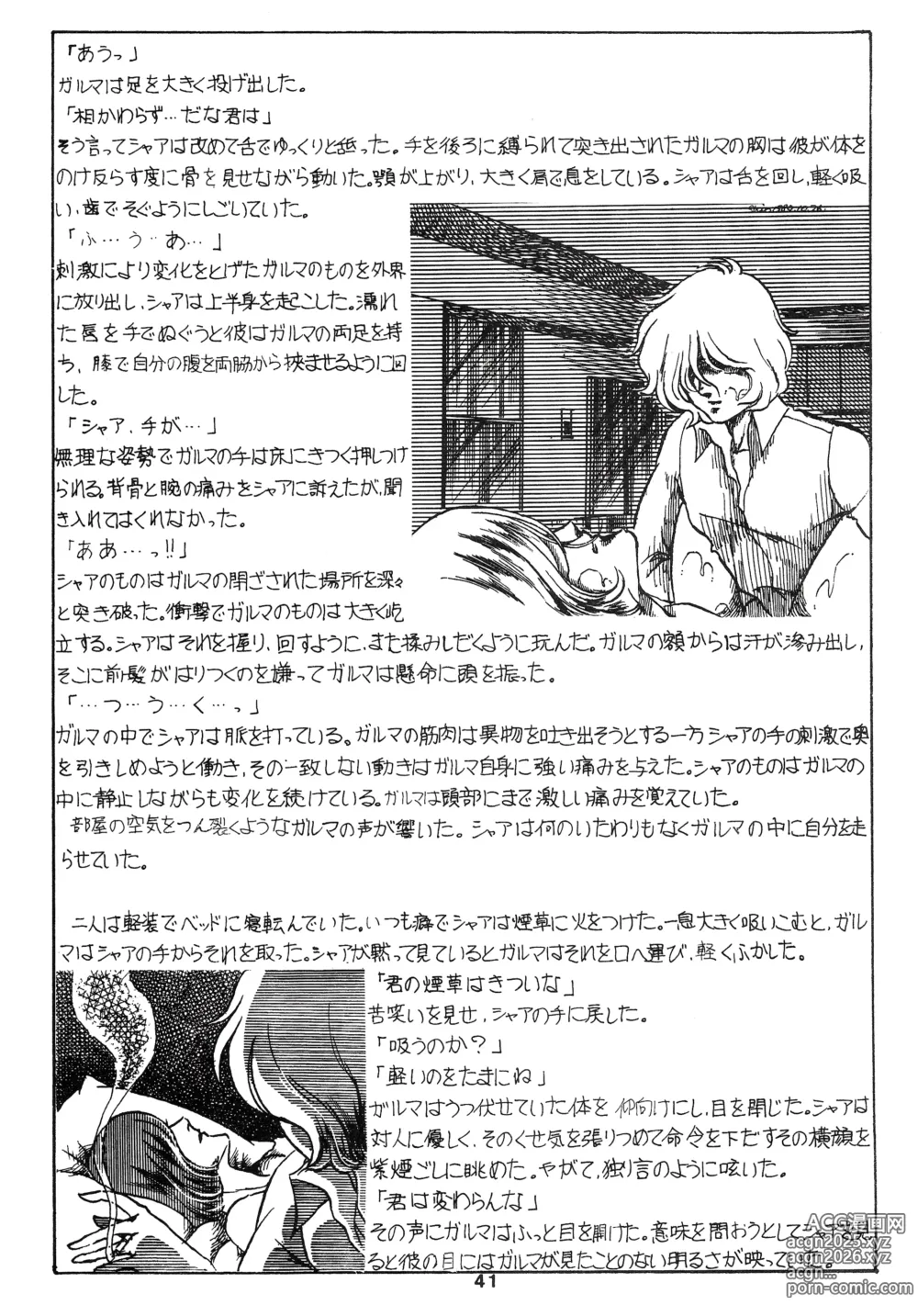 Page 41 of doujinshi Thats It! Char's Success Story