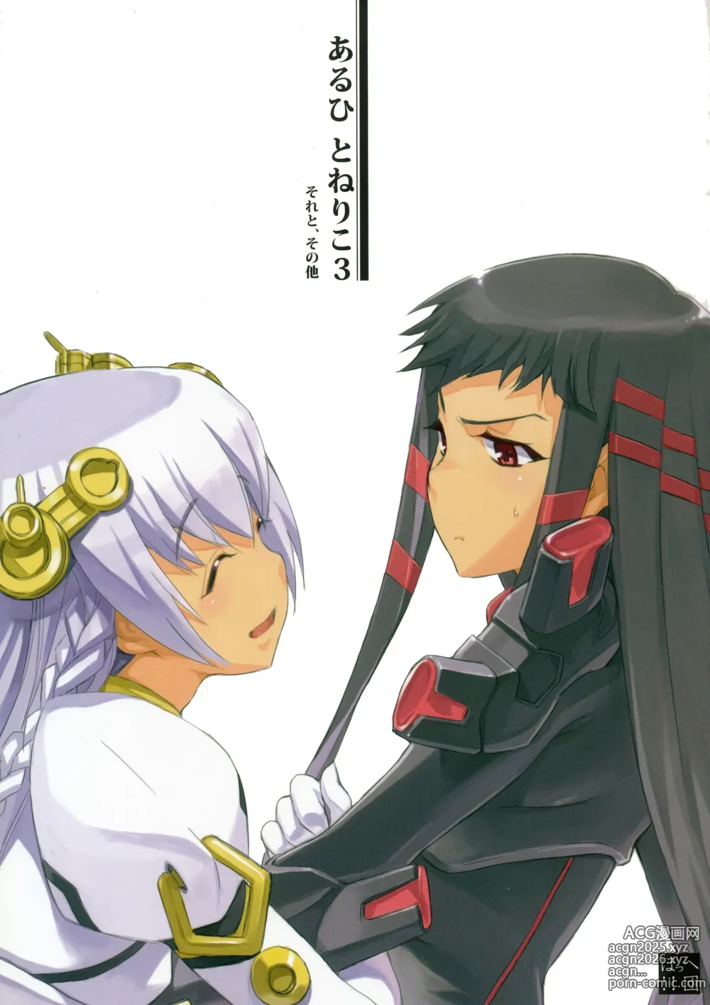 Page 4 of doujinshi Aruhi tonelico1~3+Chinese Muffin