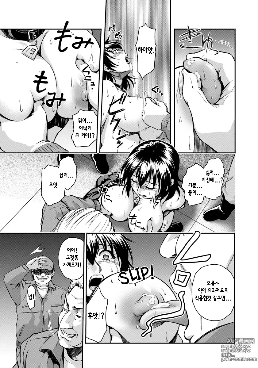Page 12 of manga Innyuu Koubou Ichiban Shibori ~Kachiku no You ni~