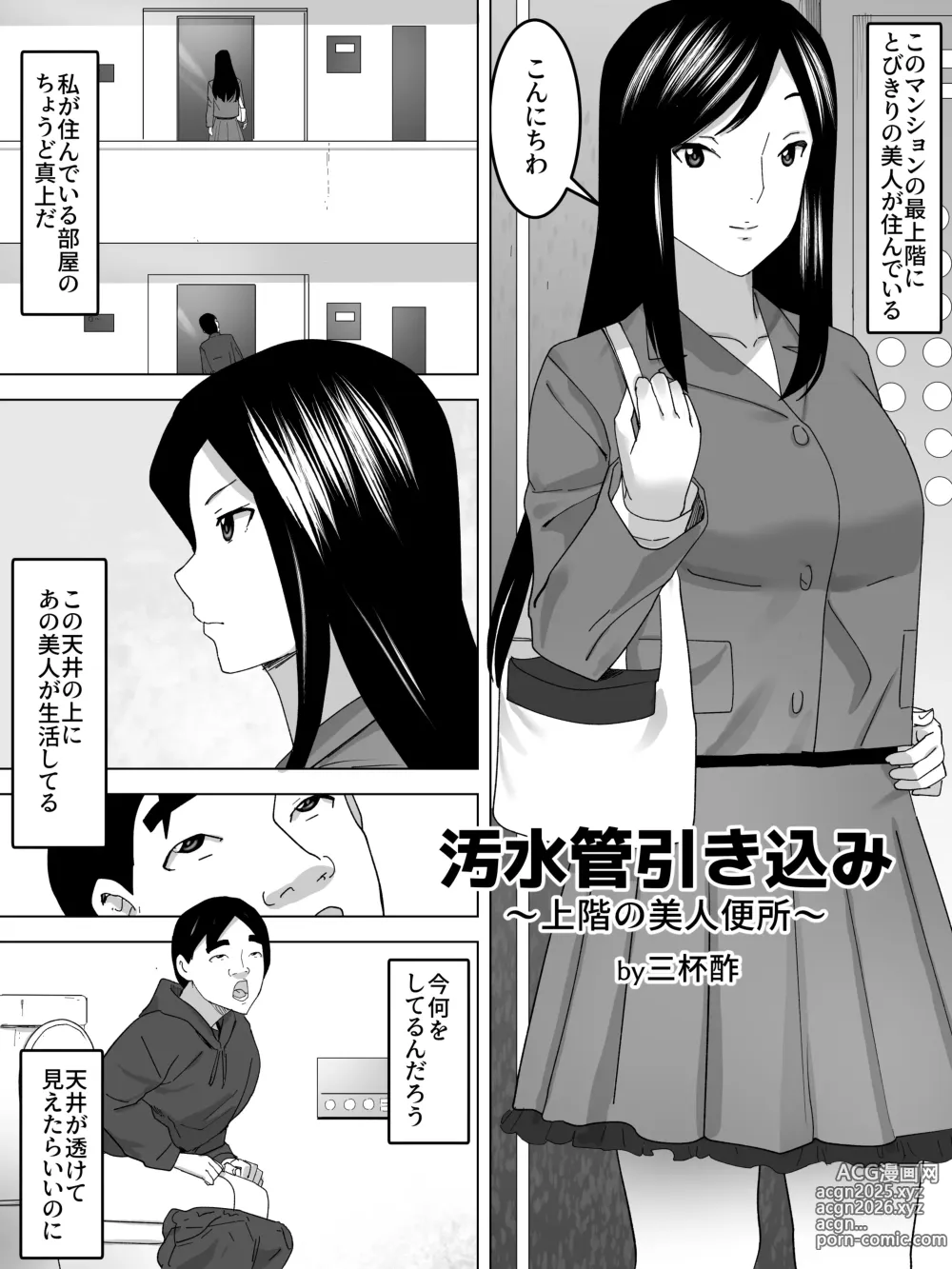 Page 2 of doujinshi Osuikan HikikomiーJoukai no Bijin Benjoー